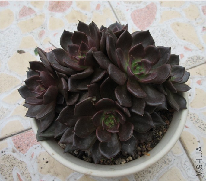 QQͼƬ20141030123615.jpg