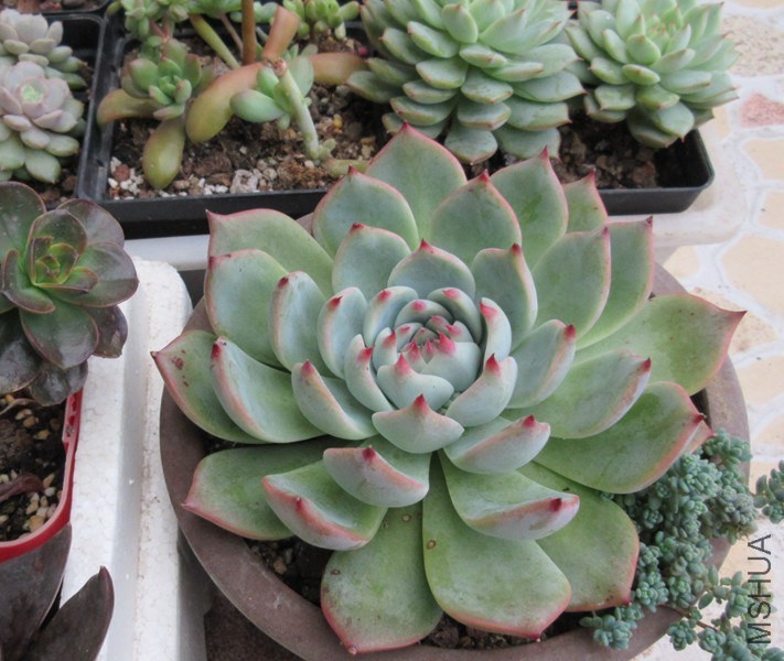 QQͼƬ20141030123709.jpg