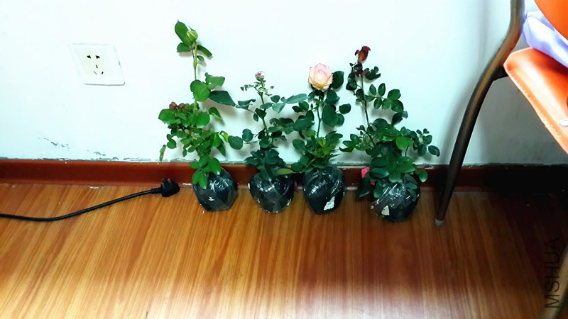 20141030_142123_����.jpg