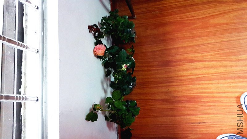 20141030_142108_����.jpg