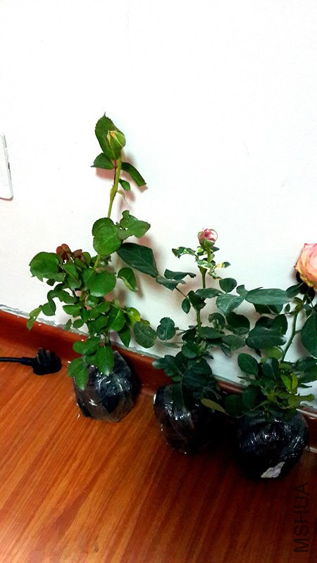 20141030_142152_����.jpg