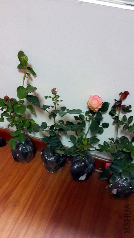 20141030_142201_����.jpg