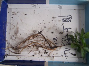 100_9051.jpg