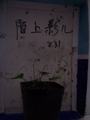 100_9057.jpg
