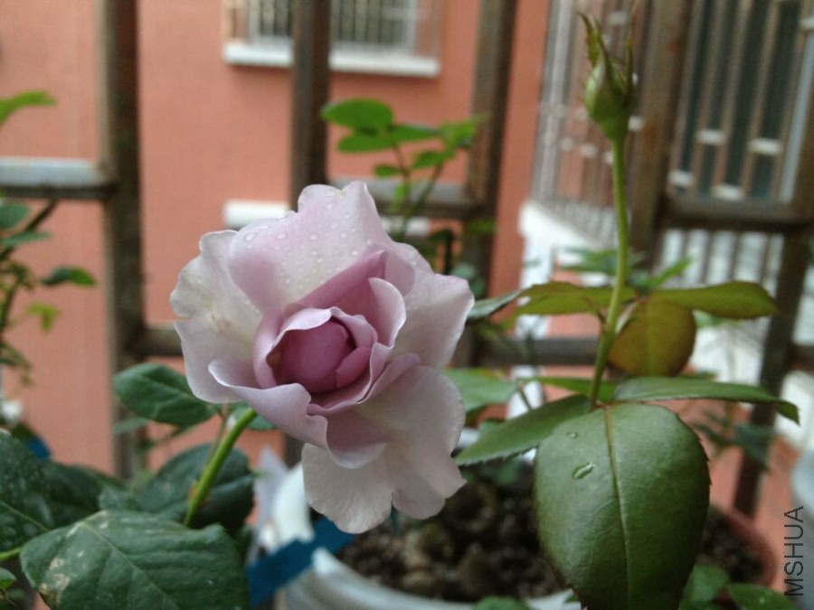 QQͼƬ20141030191854.jpg