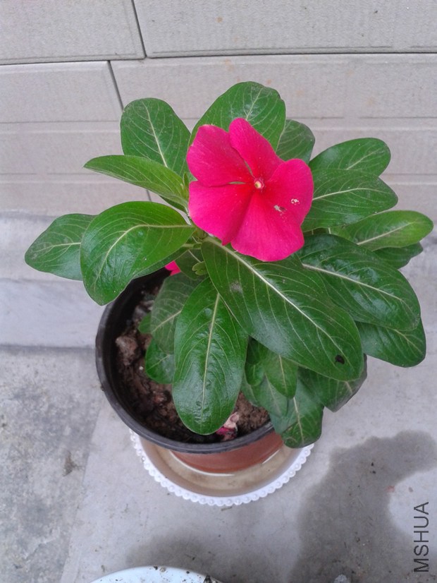 2014-09-14 10.52.19_����.jpg