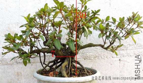 QQ��ͼ20141030222201.jpg