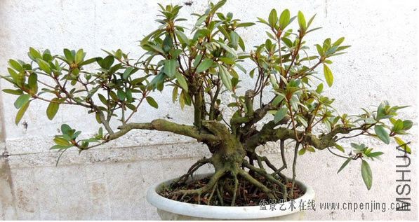 QQ��ͼ20141030222214.jpg