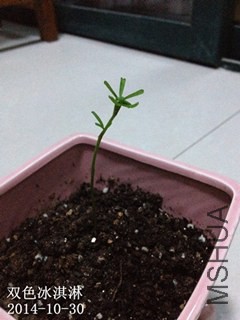������-˫ɫ20141030_����.jpg