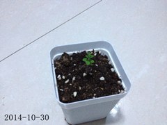 ������-����20141030_����.jpg