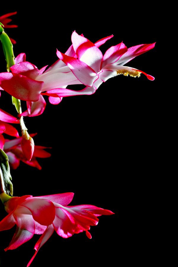 20141031_151301_030.jpg