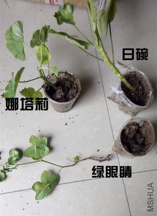 QQͼƬ20141031154731_����.jpg