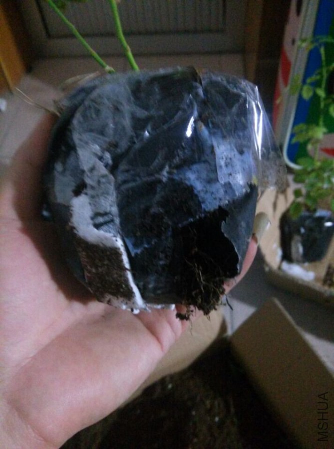 QQͼƬ20141031200321.jpg