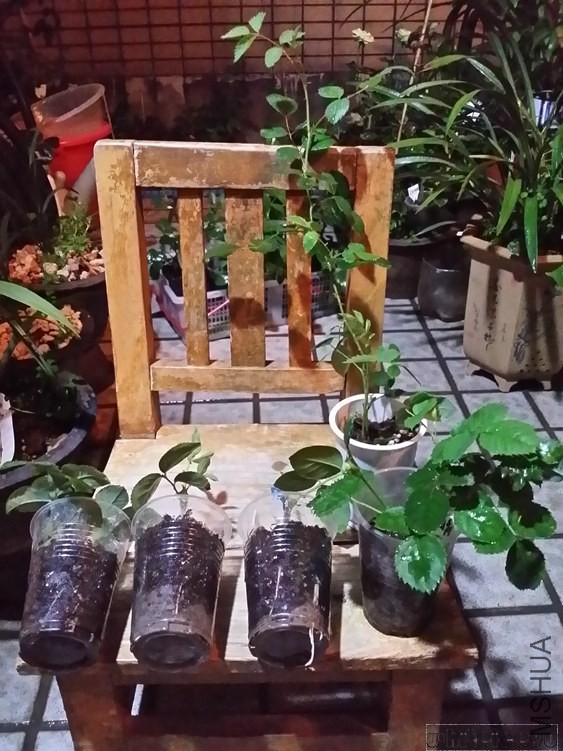 20141031_210435.jpg