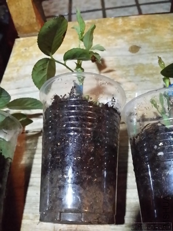 20141031_210549.jpg