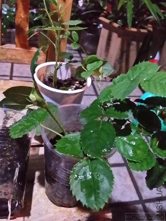 20141031_210644.jpg