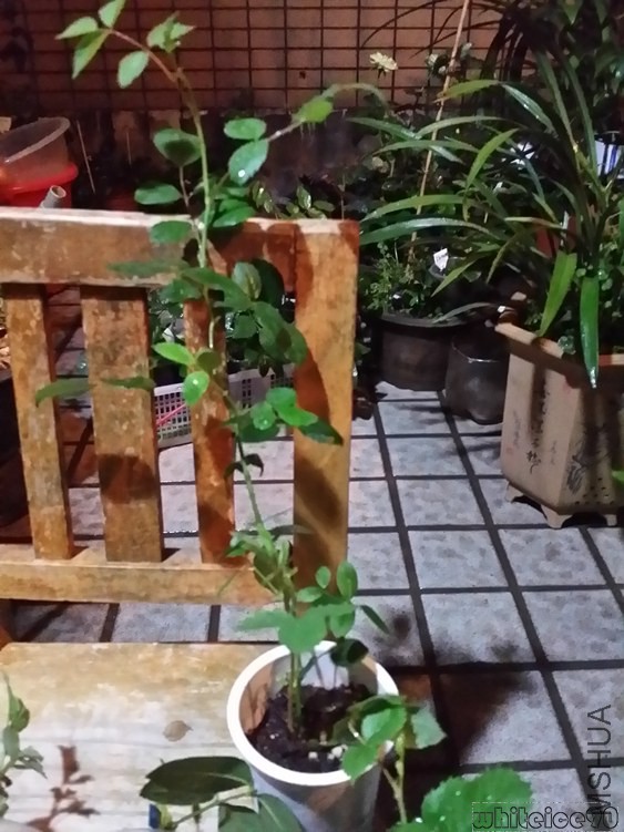 20141031_210702.jpg