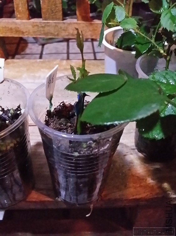 20141031_210758.jpg