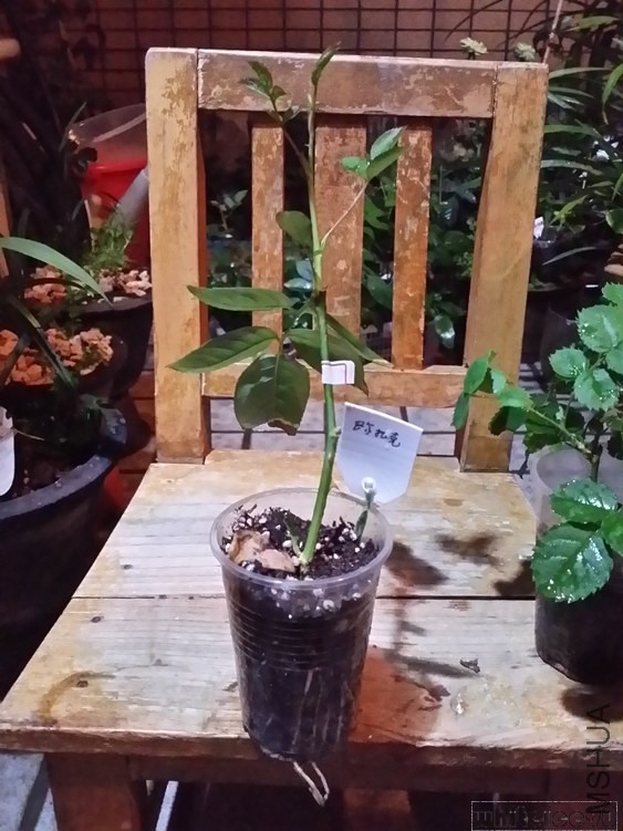 20141031_211036.jpg