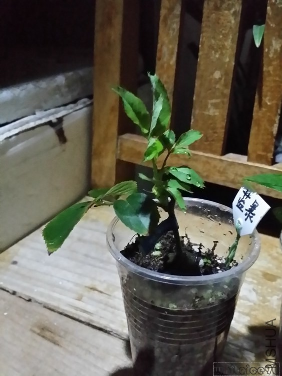 20141031_213021.jpg