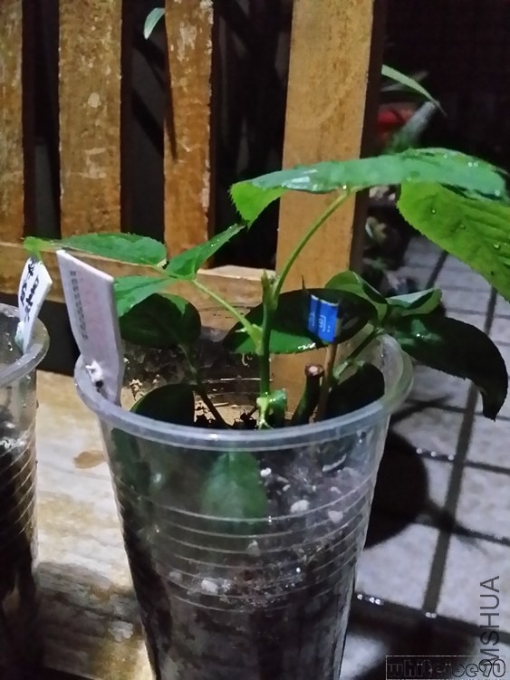 20141031_213045.jpg