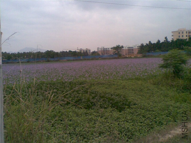 QQͼƬ20141031221533.jpg