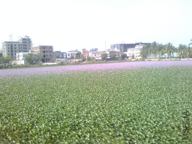 QQͼƬ20141031221550.jpg