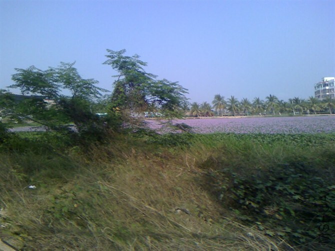 QQͼƬ20141031221554.jpg