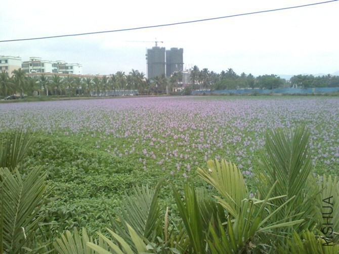 QQͼƬ20141031221558.jpg