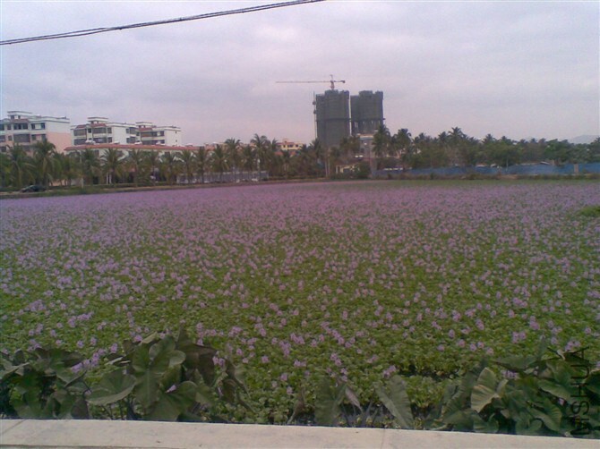 QQͼƬ20141031221602.jpg