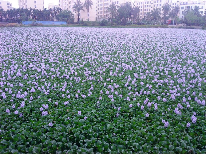 QQͼƬ20141031221606.jpg
