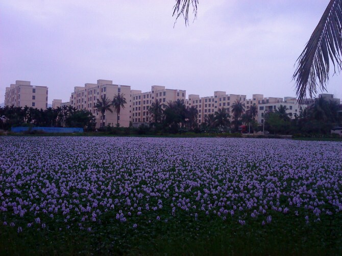 QQͼƬ20141031221612.jpg
