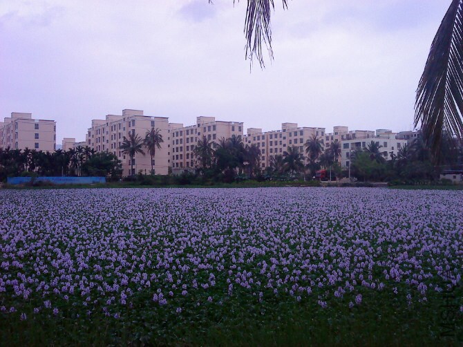 QQͼƬ20141031221616.jpg