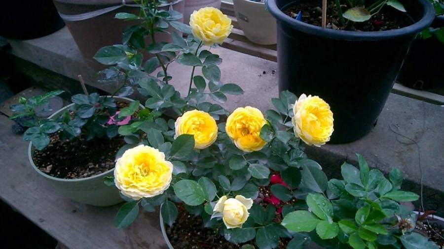 QQͼƬ20141031230720.jpg