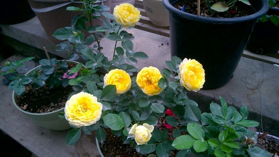QQͼƬ20141031230744.jpg