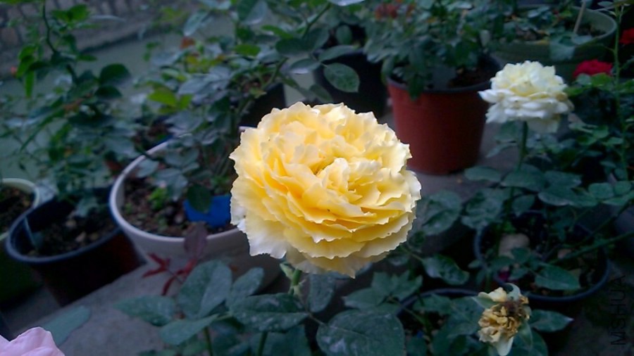 QQͼƬ20141031230753.jpg