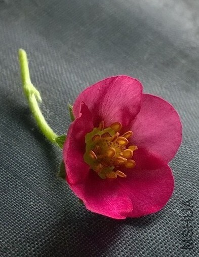 QQͼƬ20111101110722.jpg