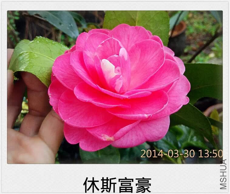 psb (9).jpg