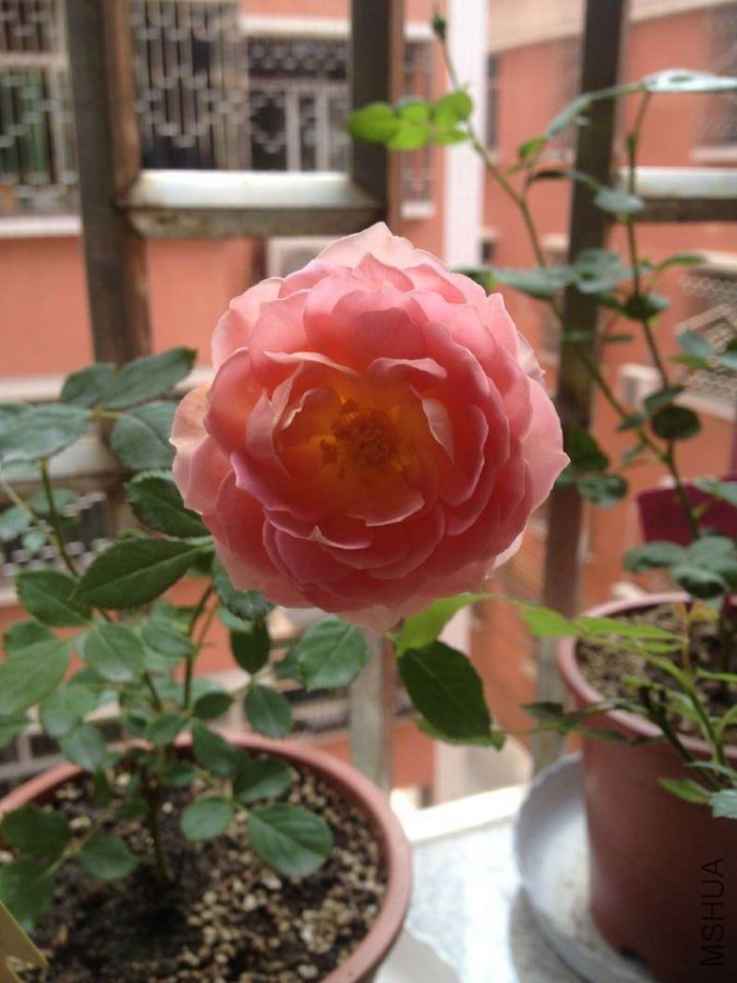 �������