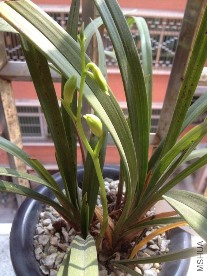 �˱�����