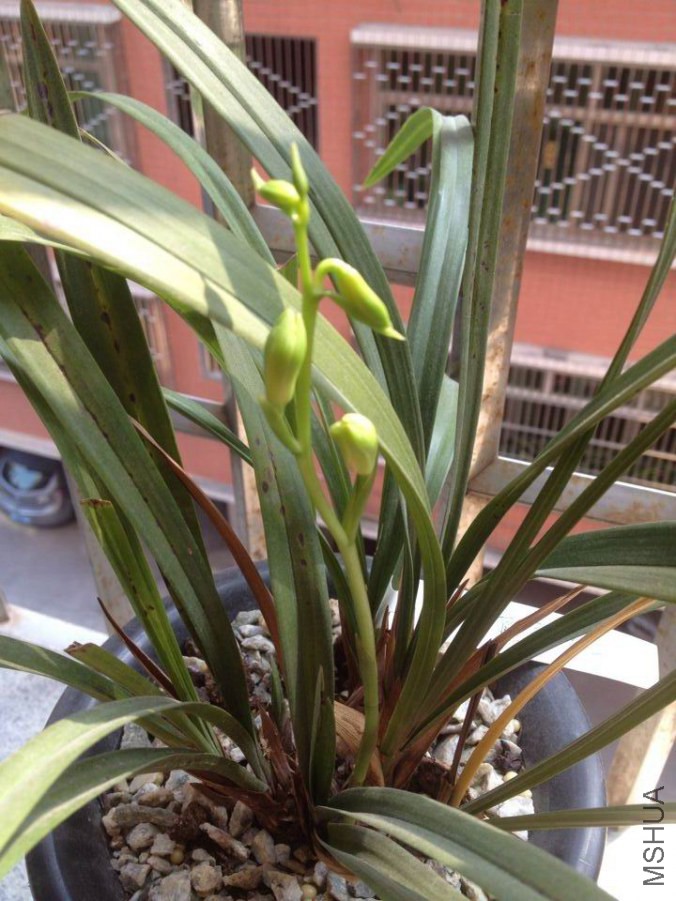 �˱�����