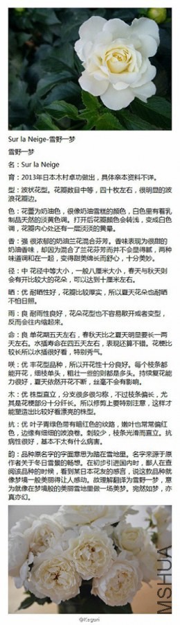 43-Sur la Neige-ѩҰһ��.jpg