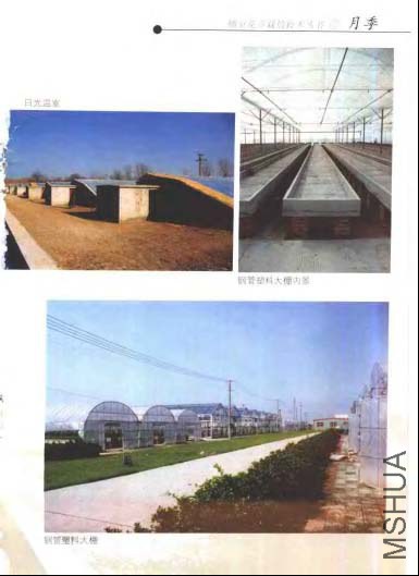�¼�_ҳ��_005.jpg