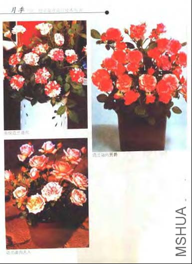 �¼�_ҳ��_012.jpg