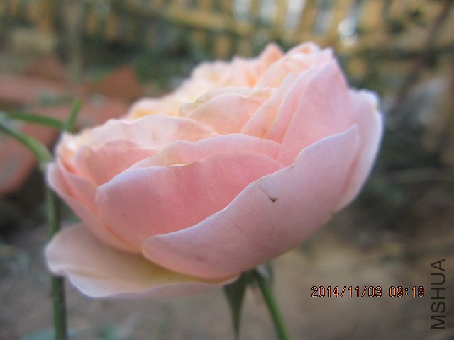 IMG_5782.JPG