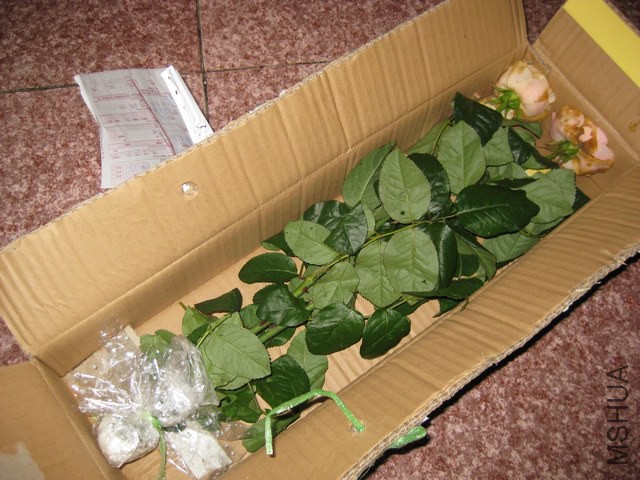 ��Ƭ 008.jpg