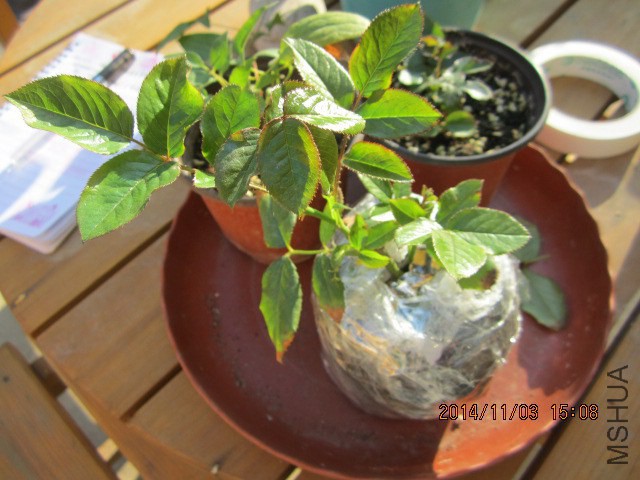 ���棬��С�����ˡ�