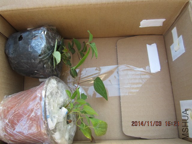 �����ȣ���С��