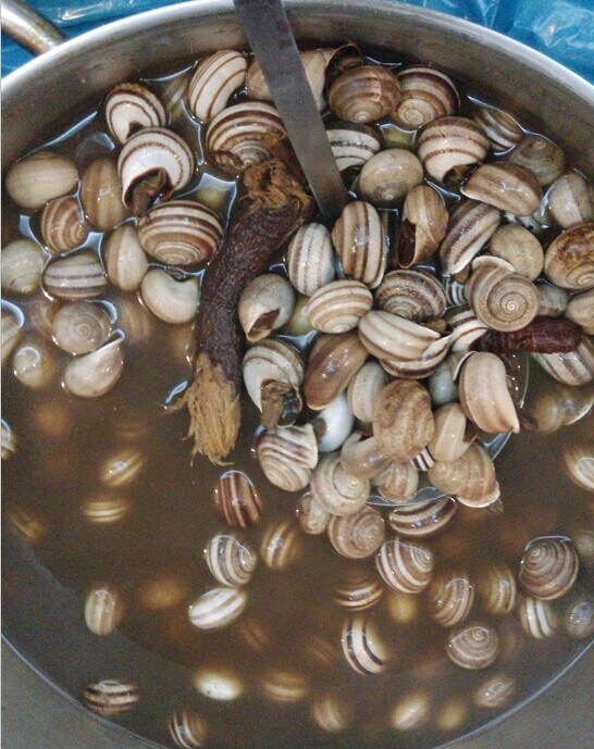 QQͼƬ20141103172146.jpg