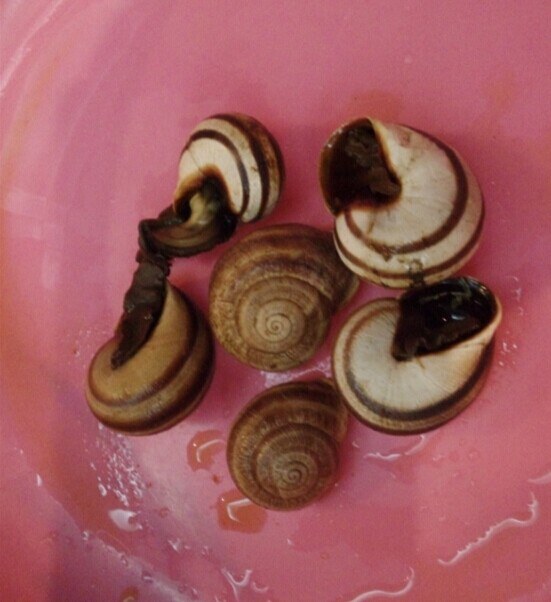 QQͼƬ20141103171644.jpg